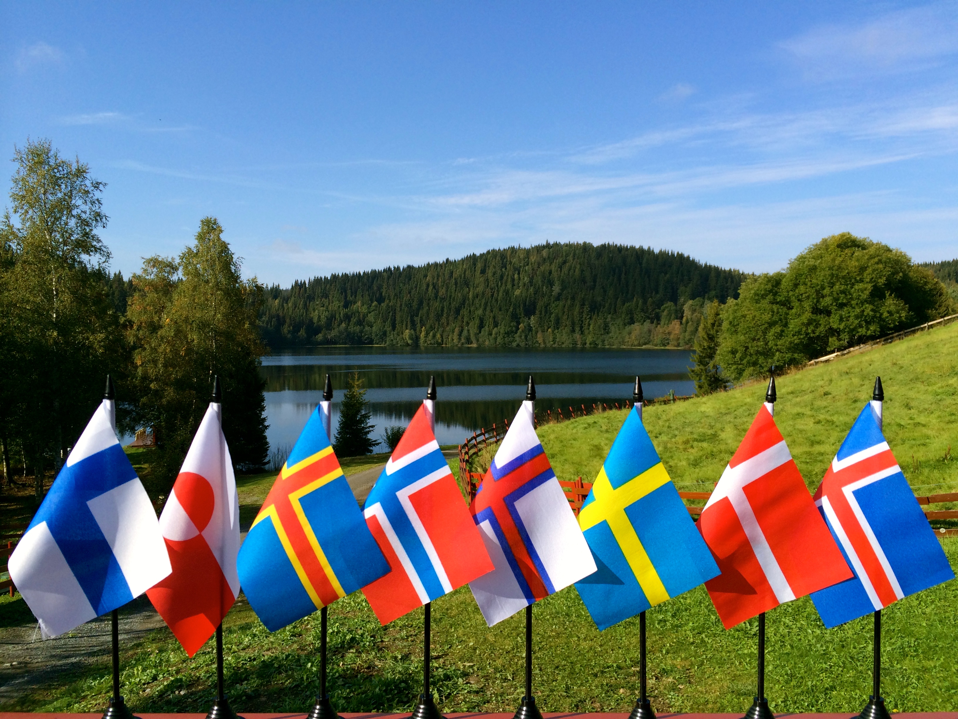 Chapitre 30 : Tu vas où quand tu sais parler norvégien ?